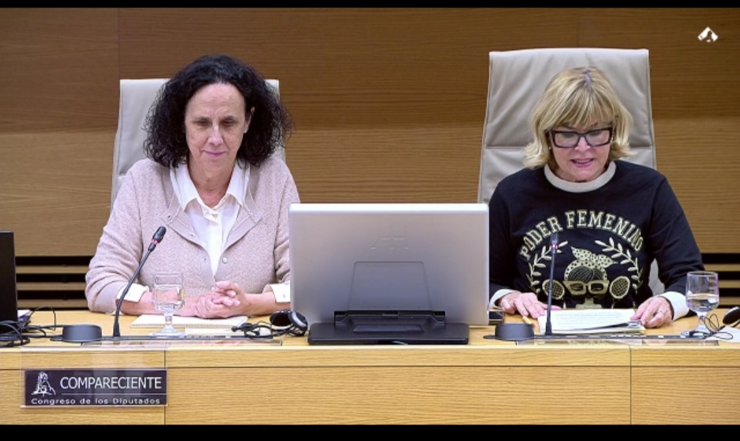 Ana Peláez, a la izda, junto a la presidenta de la Comisión de Igualdad del Congreso, durante su comparecencia