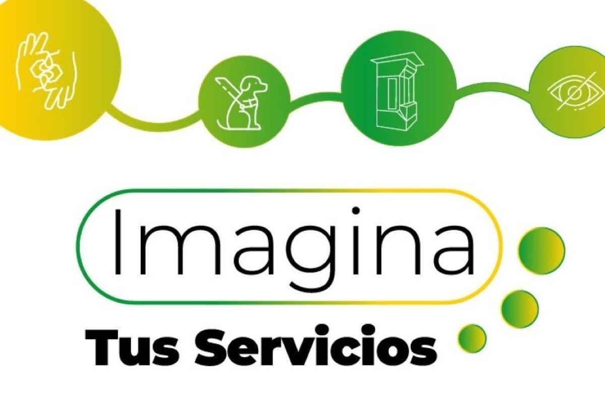 Gráfica del proyecto Imagina tus servicios de la ONCE