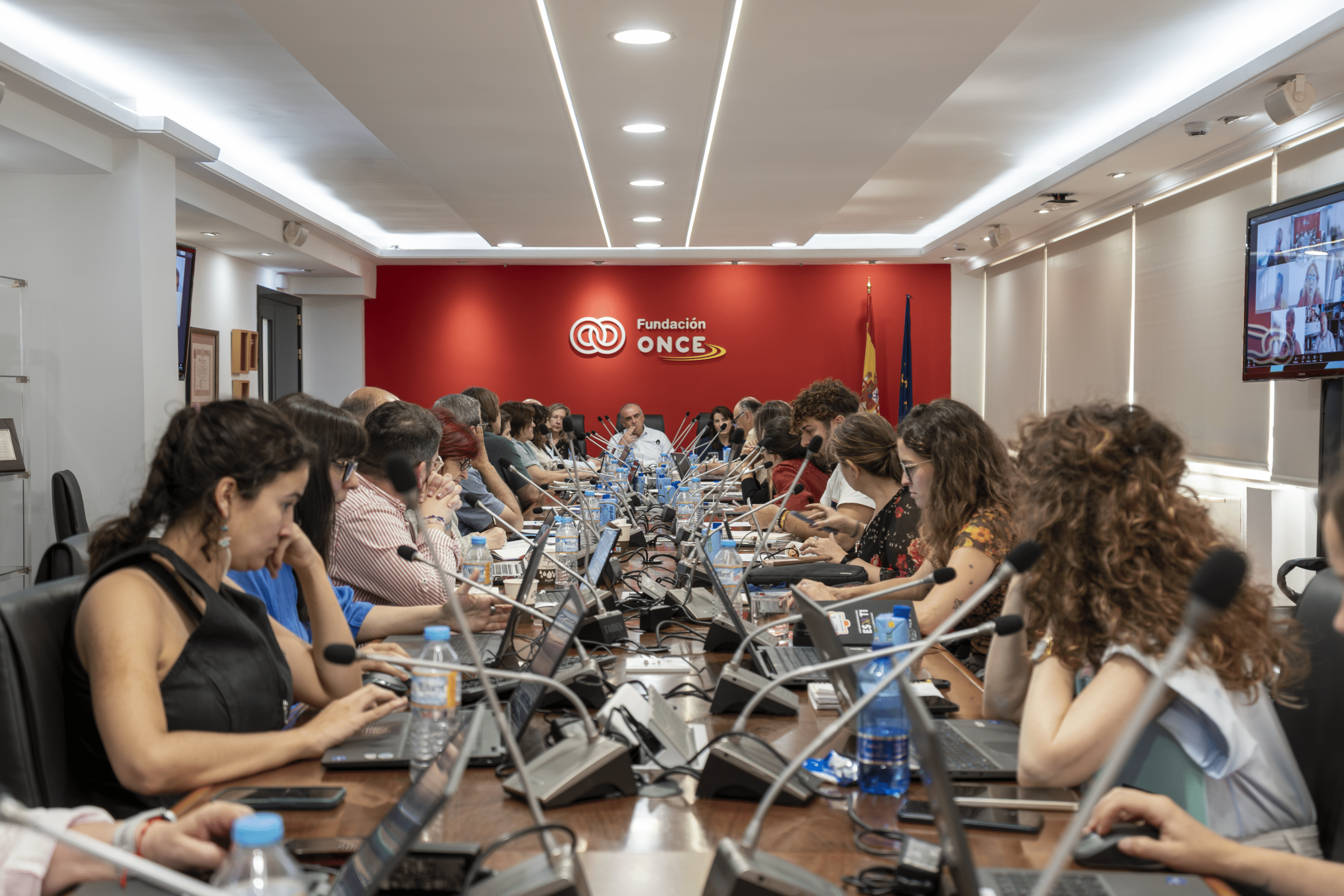 Junta Directiva de la Plataforma del Tercer Sector reunida en Madrid en la sede de Fundación ONCE