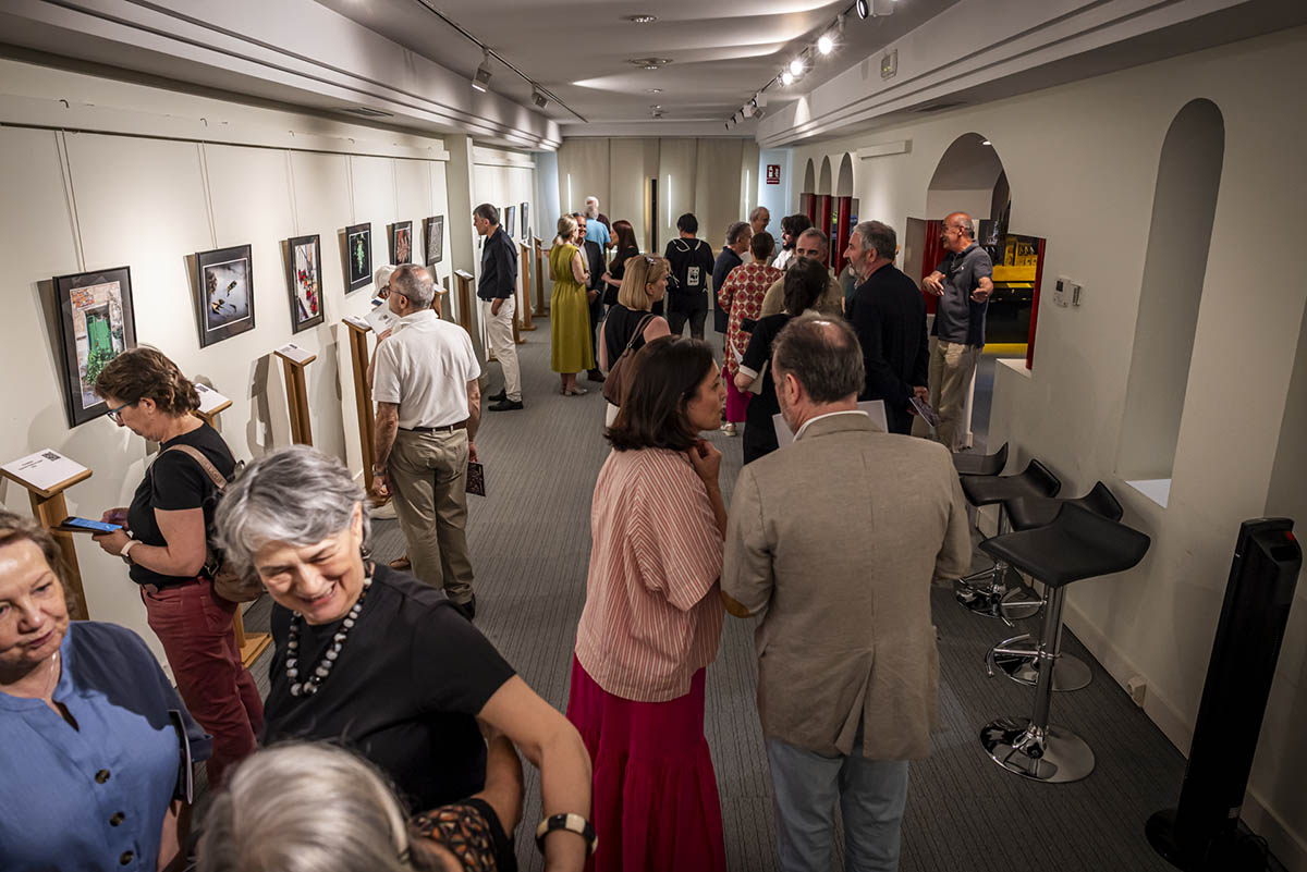 Público visitante a una de las exposiciones temporales del Museo