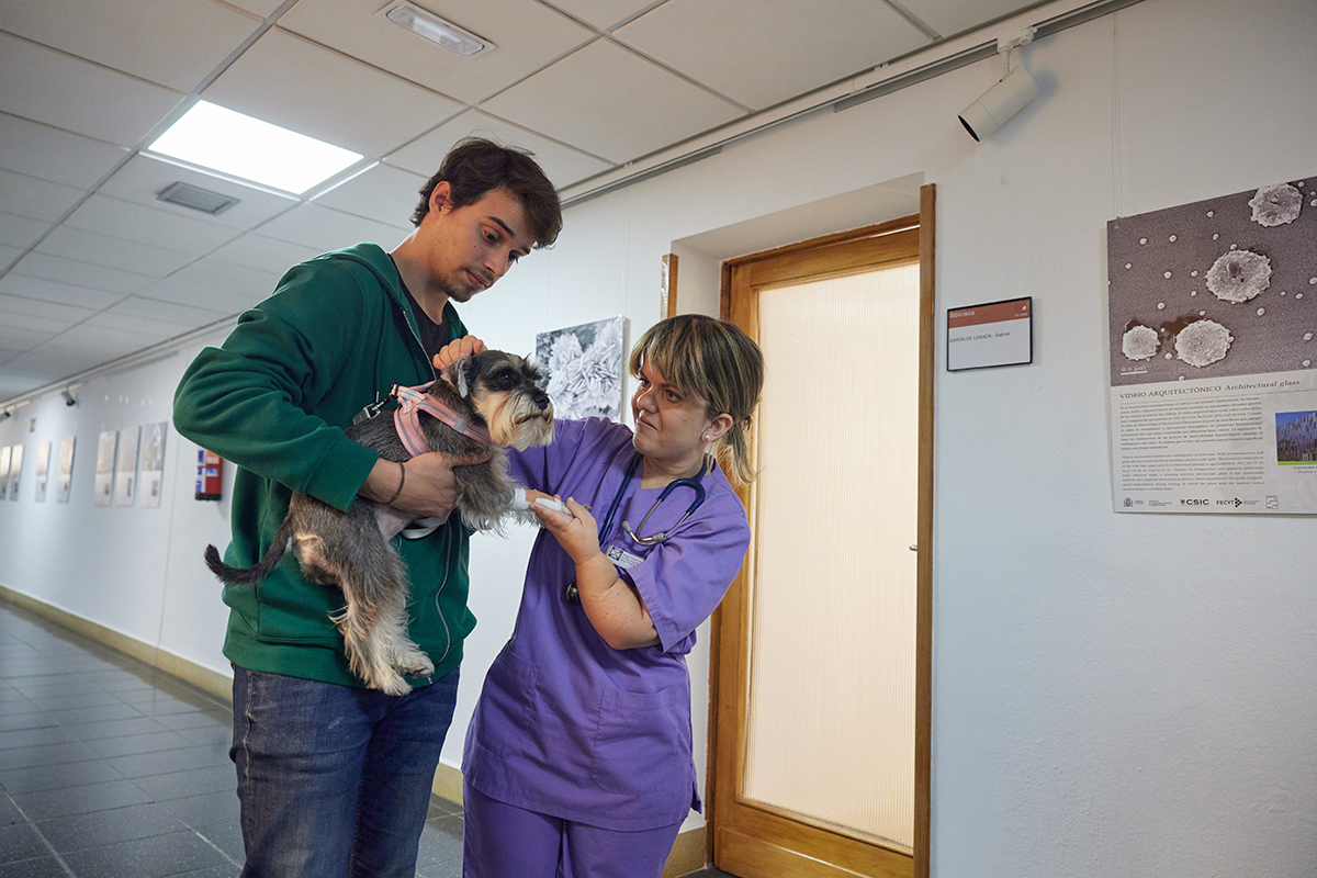 Un chico cogiendo a su perro en brazos y la veterinaria acariciándole. Ella tiene acondroplasia