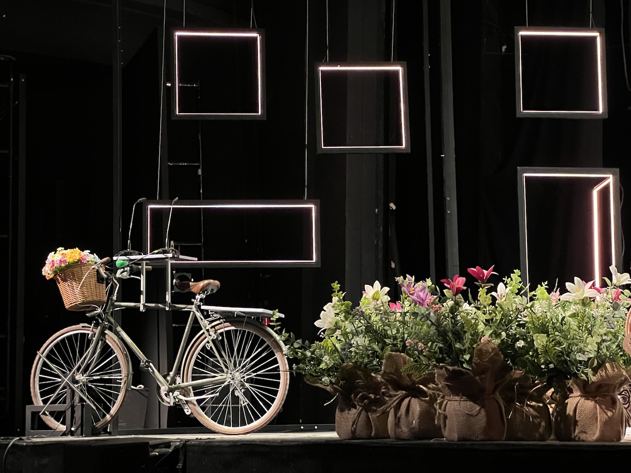 Una bicicleta en un escenario oscuro con recuadros y plantas en macetas abajo a la izquierda