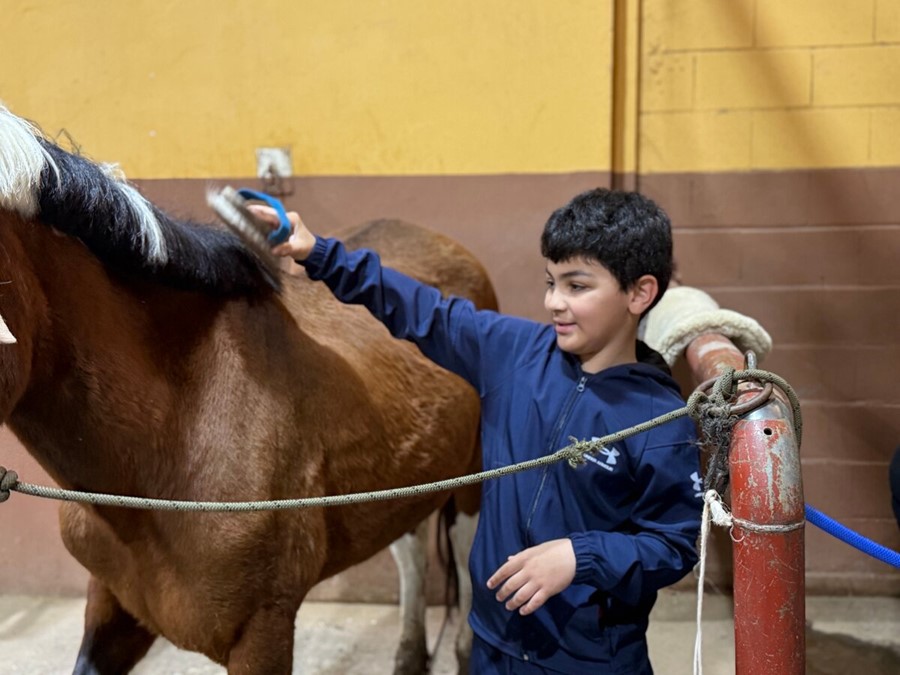 Uno de los niños afiliados cepillando uno de los caballos del centro ecuestre
