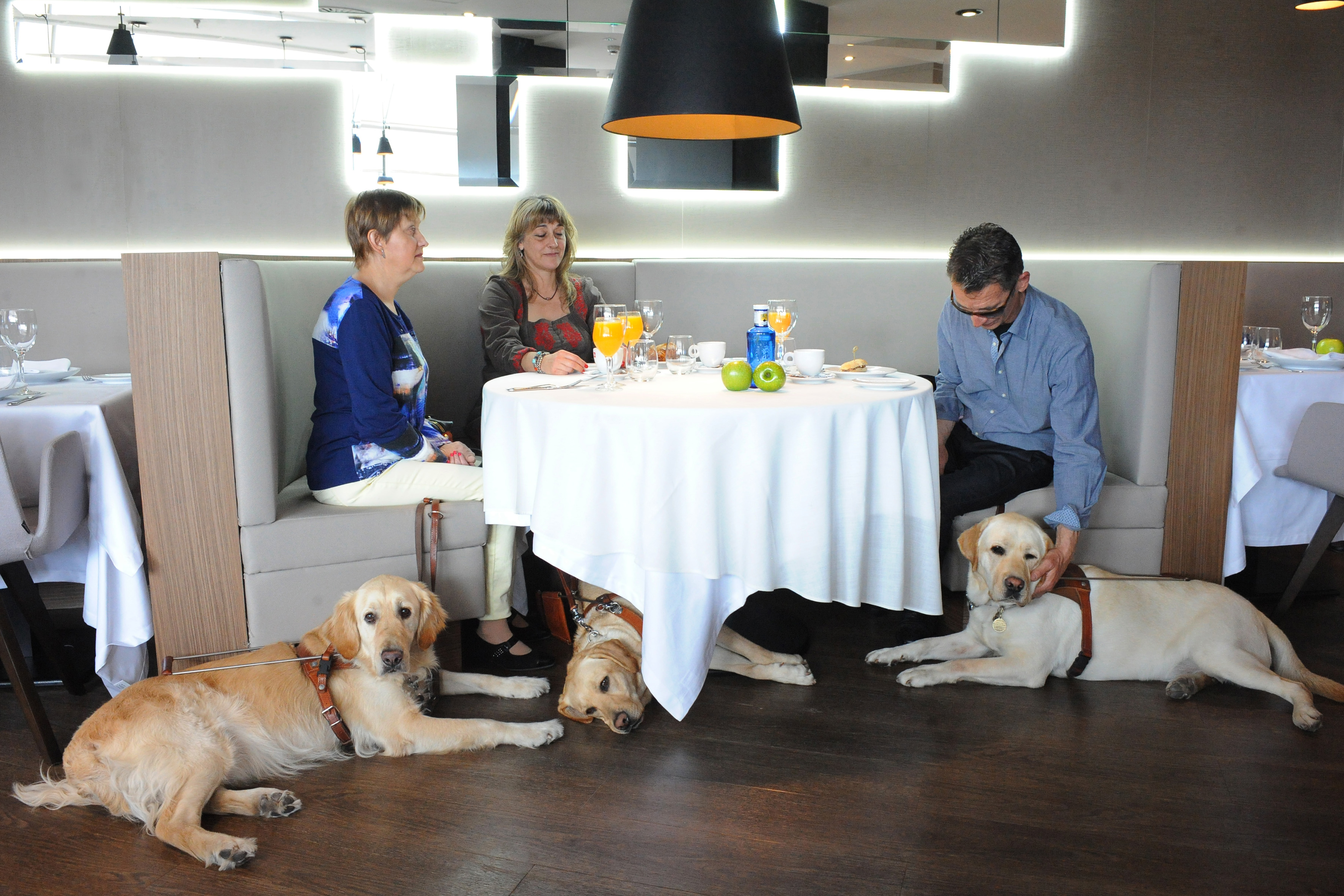 Grupo de personas ciegas usuarias de perros guia en un restaurante