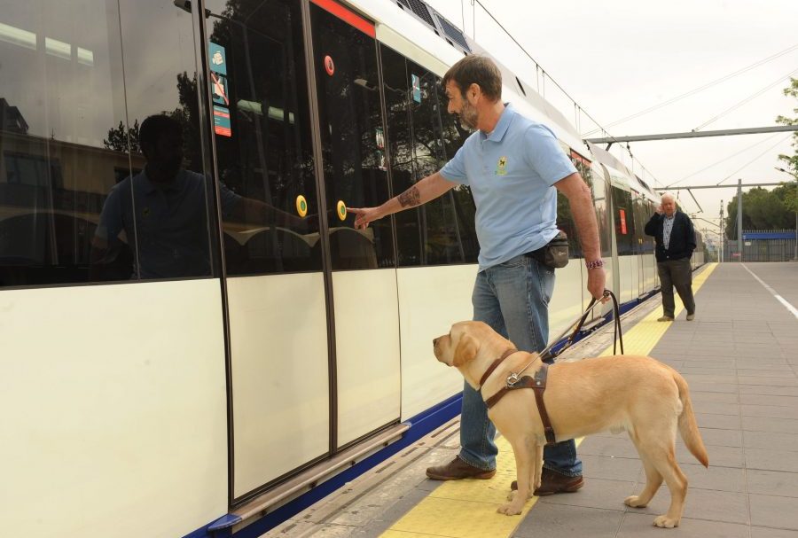 Adiestramiento de un perro guia por un instructor de la FOPG