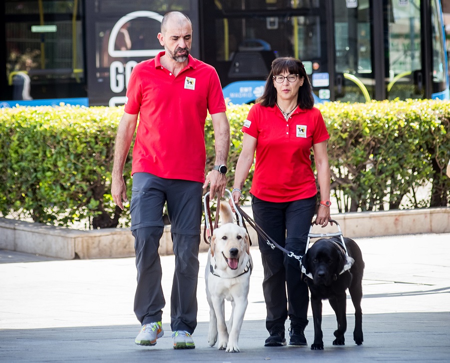 Instructores de la FOPG en plena clase con los perros