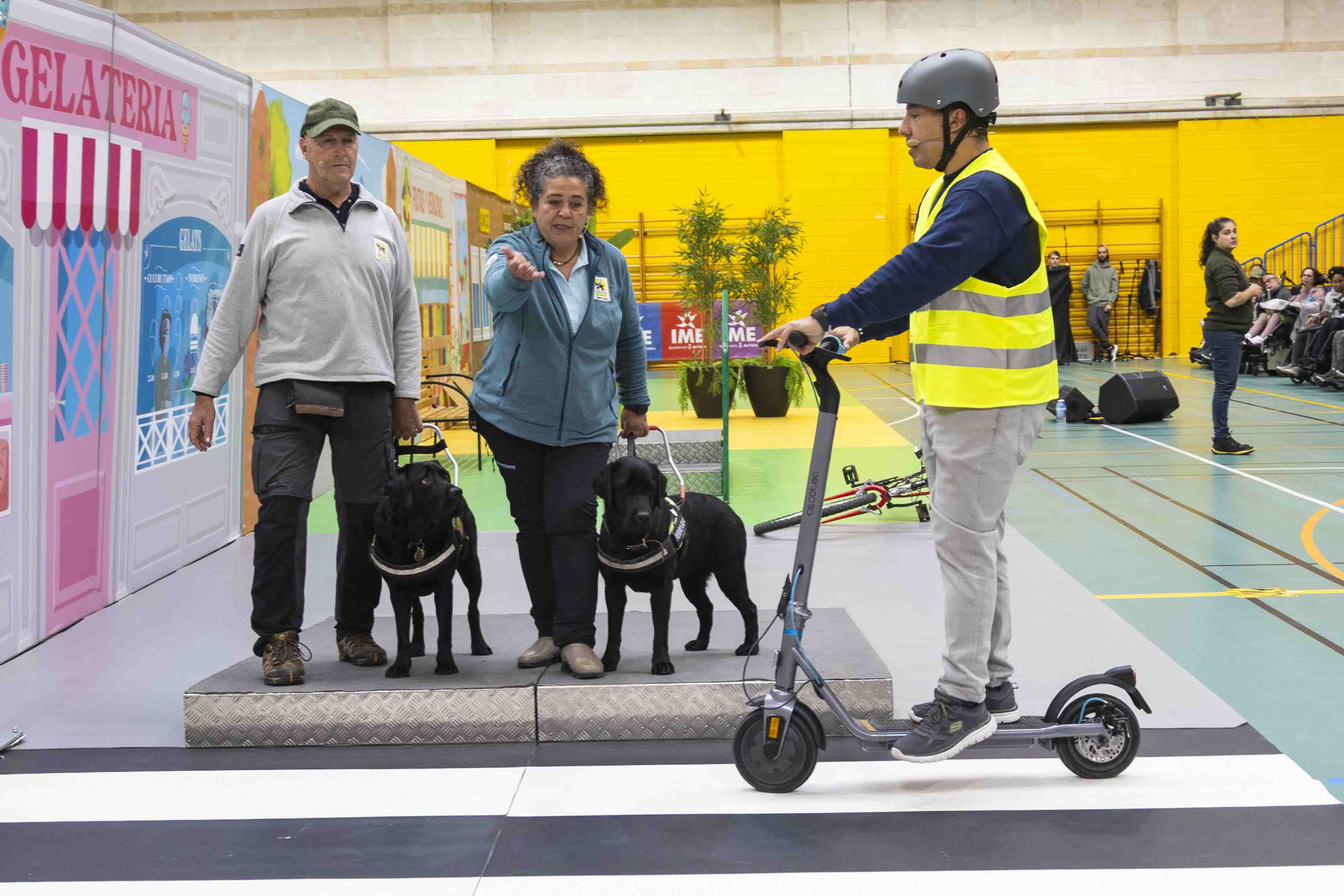 Los instructores junto a los perros guía situados en un cruce, paso de cebra, en el momento en el que transita un patinete