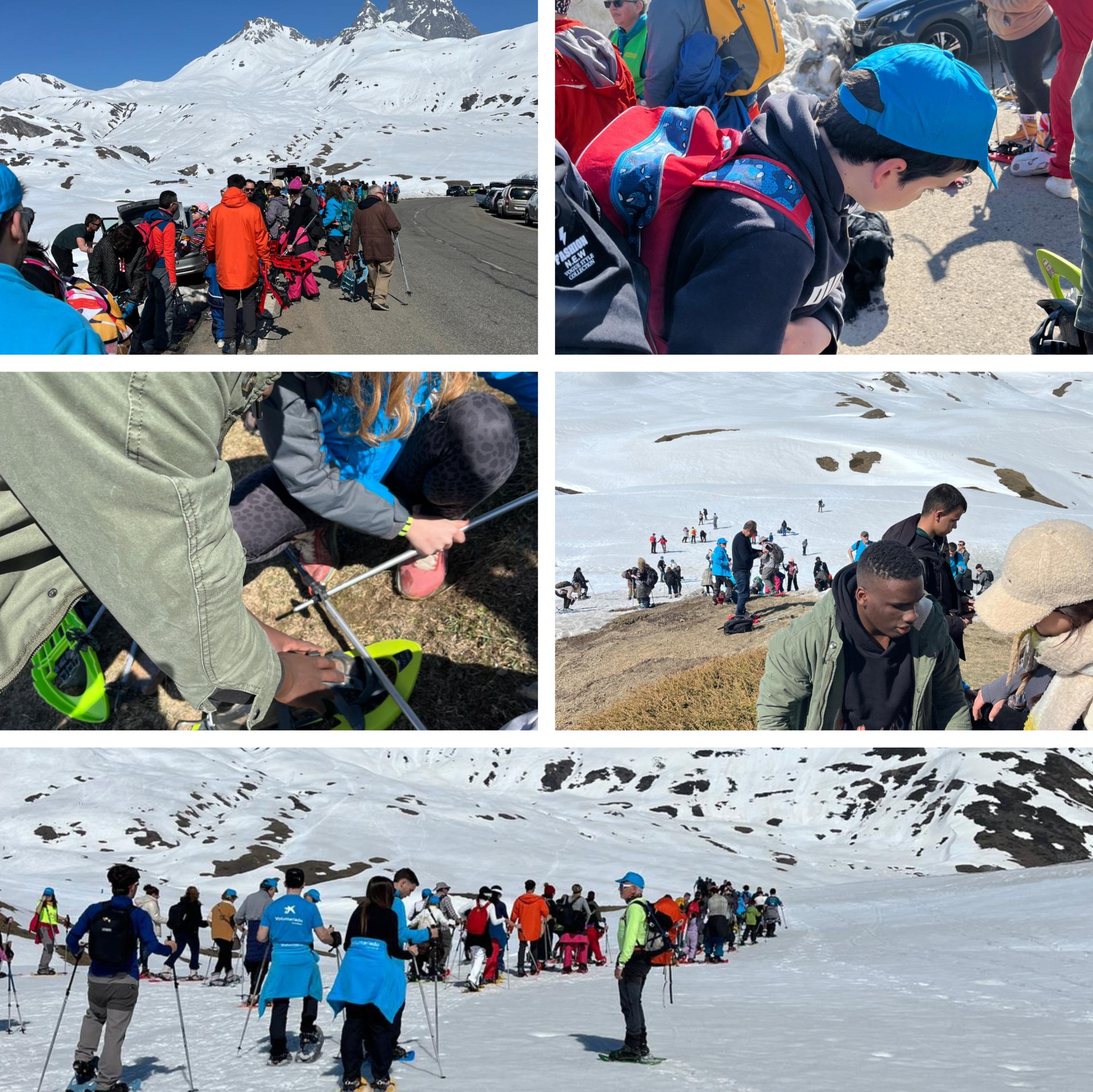 Collage de imágenes de la actividad 