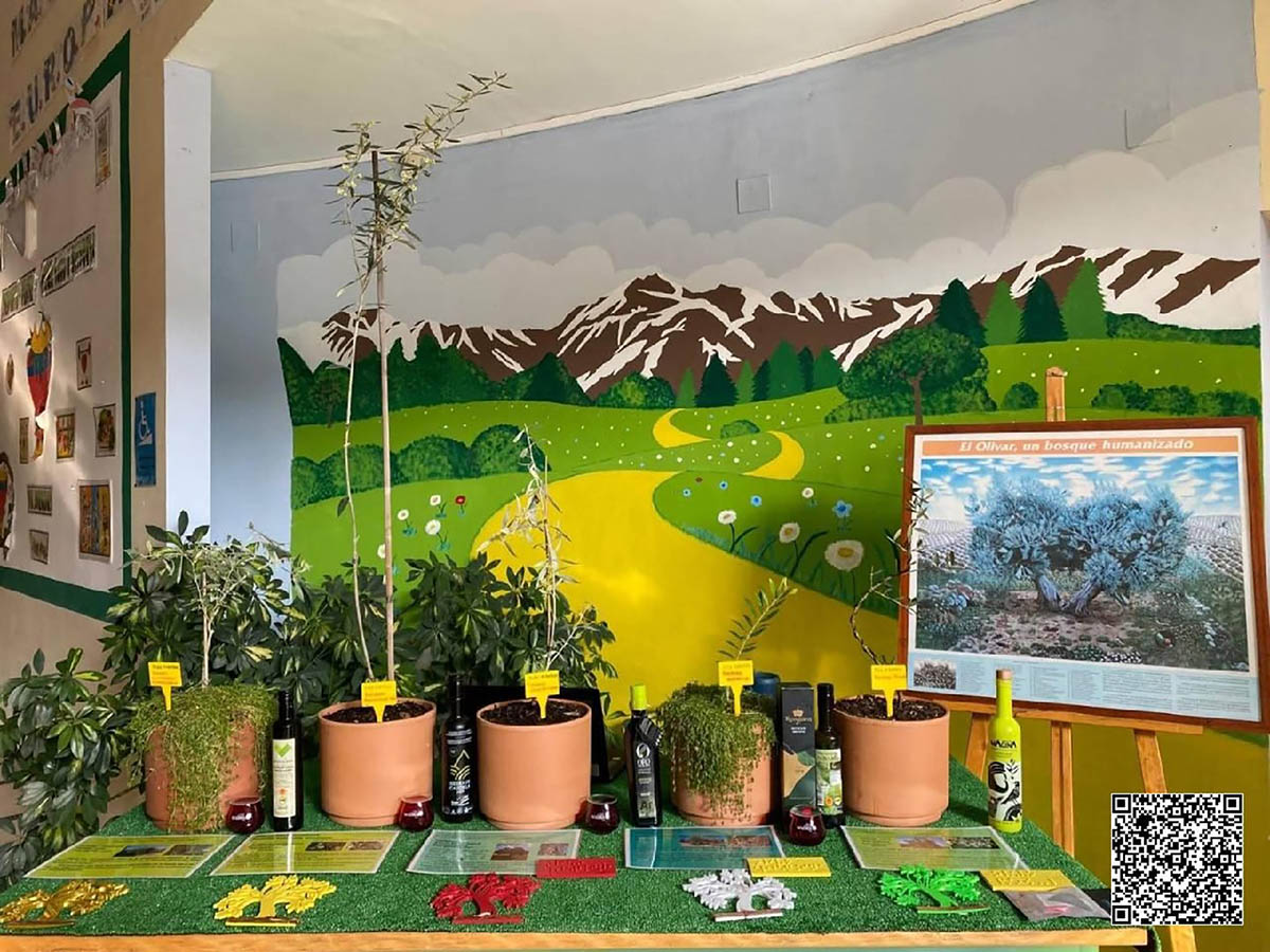 Categoría B. El olivo de los sentidos