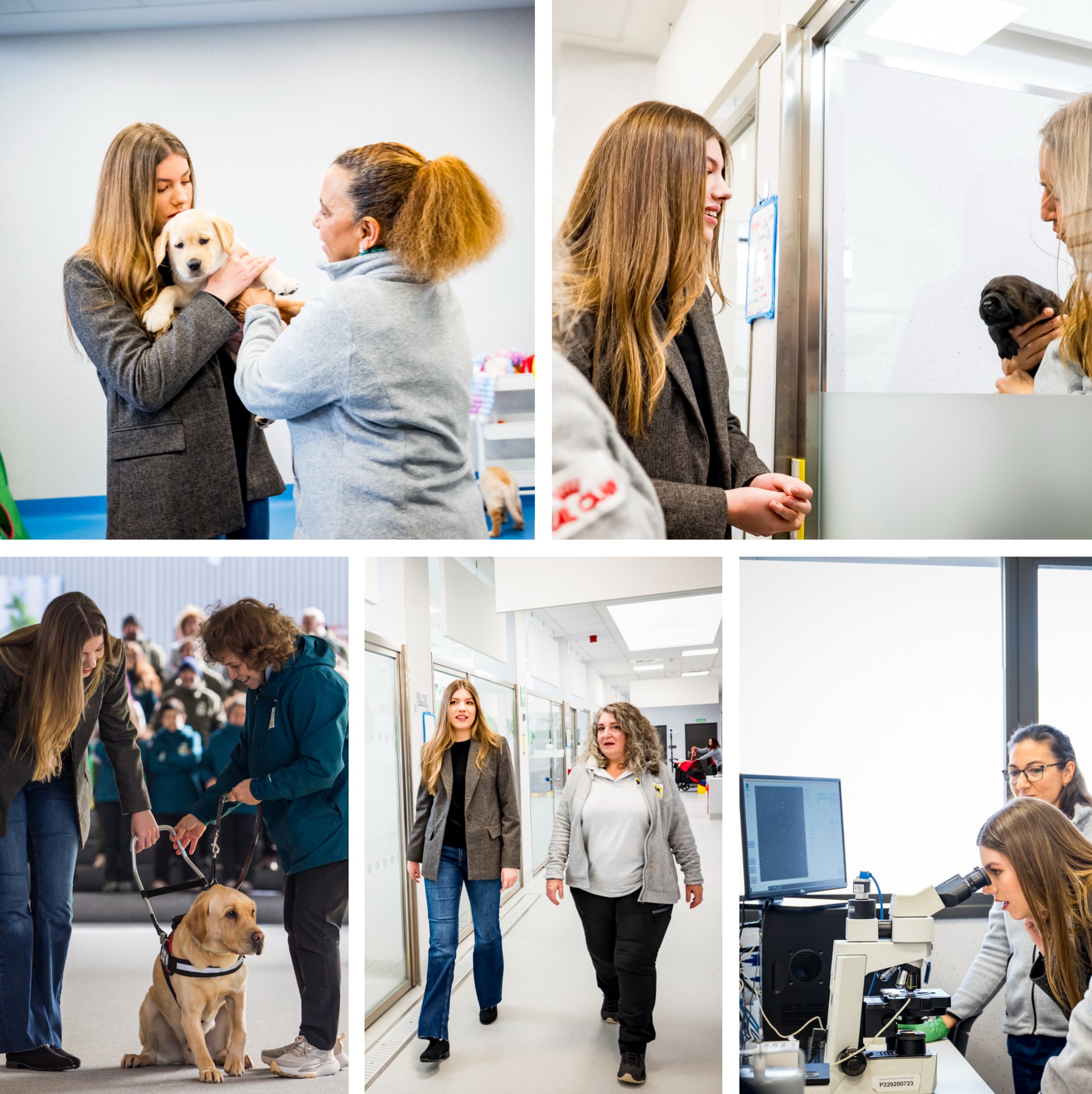 Diversas imágenes de la visita de la infanta Sofía. Foto 1: con un cachorro en los brazos. Foto 2: conociendo a ONA. Foto 3: sujetando el arnés de Watson tras la exhibición. Foto 4: con Mónica Montero recorriendo el bloque de partos. Foto 5: mirando por el microscopio en el laboratorio