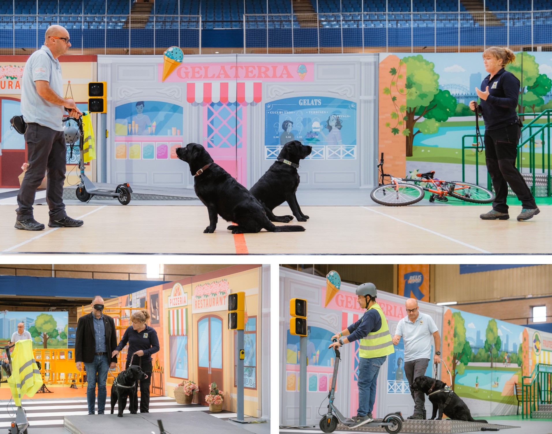 Diversos momentos de la exhibición de perros guía en Reus