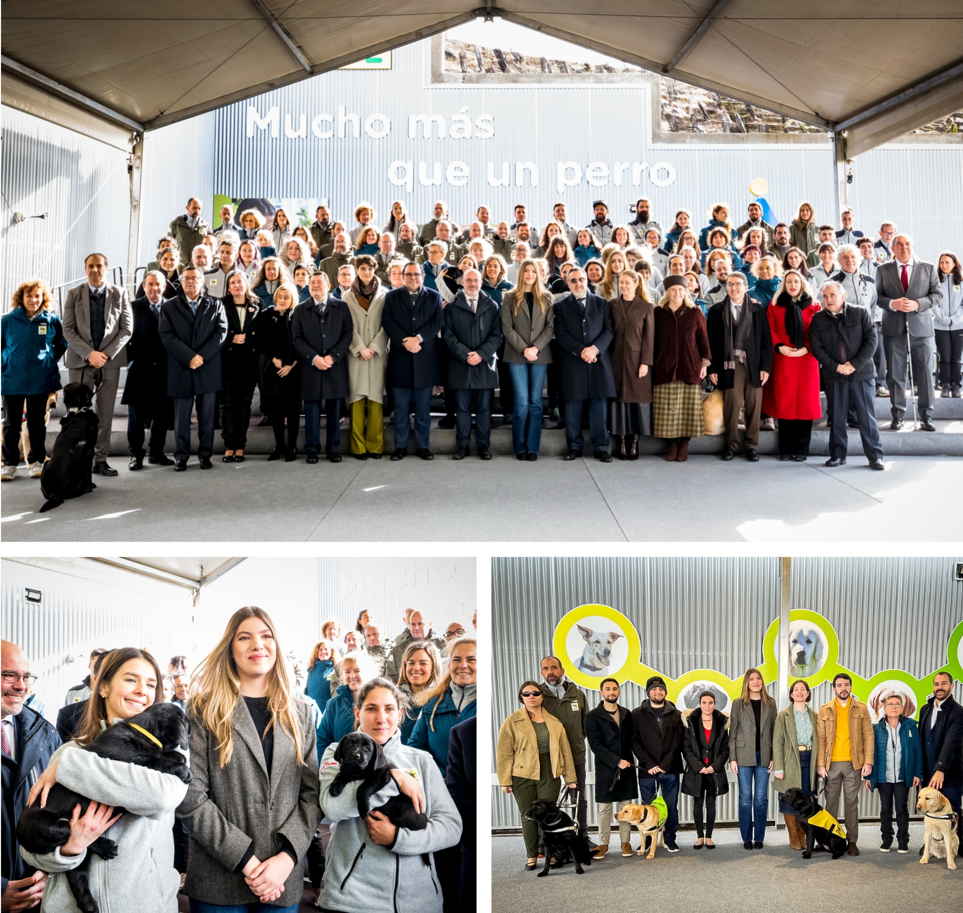Arriba, foto de familia de la infanta con autoridades y trabajadores y trabajadoras de la FOPG. Abajo, con dos trabajadoras de la FOPG con dos cachorros en los brazos, y a la derecha, la infanta junto a las familias educadoras y los usuarios asistentes al acto
