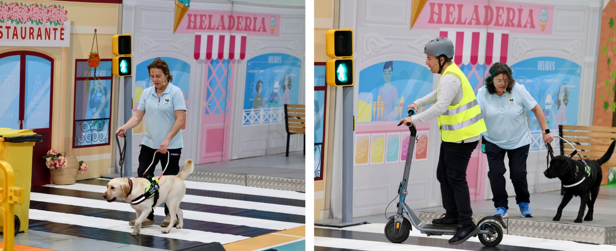 Collage de imágenes de la exhibición