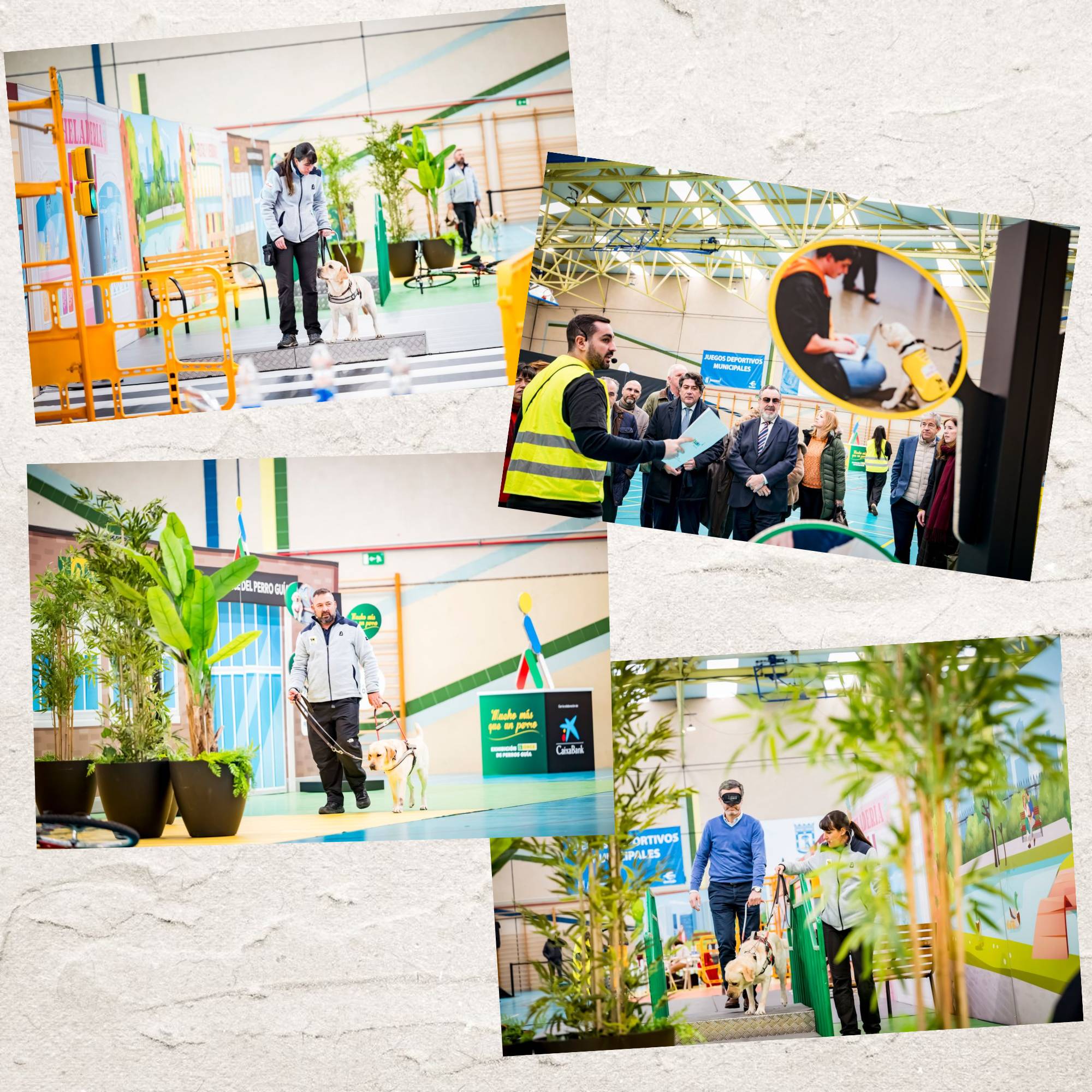 Varios momentos de la exhibición en Madrid