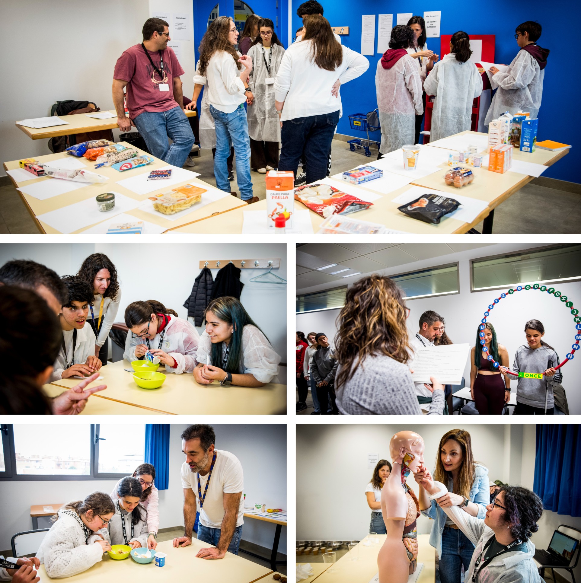 Collage de imágenes de los diversos talleres de ciencias desarrollados en el campus