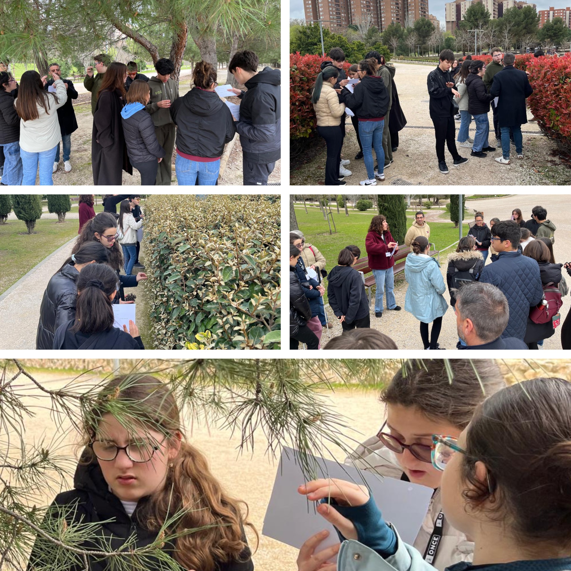 Diversas imágenes del grupo de los asistentes al campus en Madrid, durante su visita al Jardín Botánico