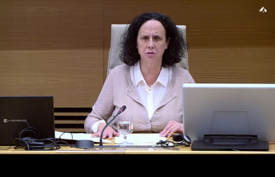 Ana Peláez durante su comparencia