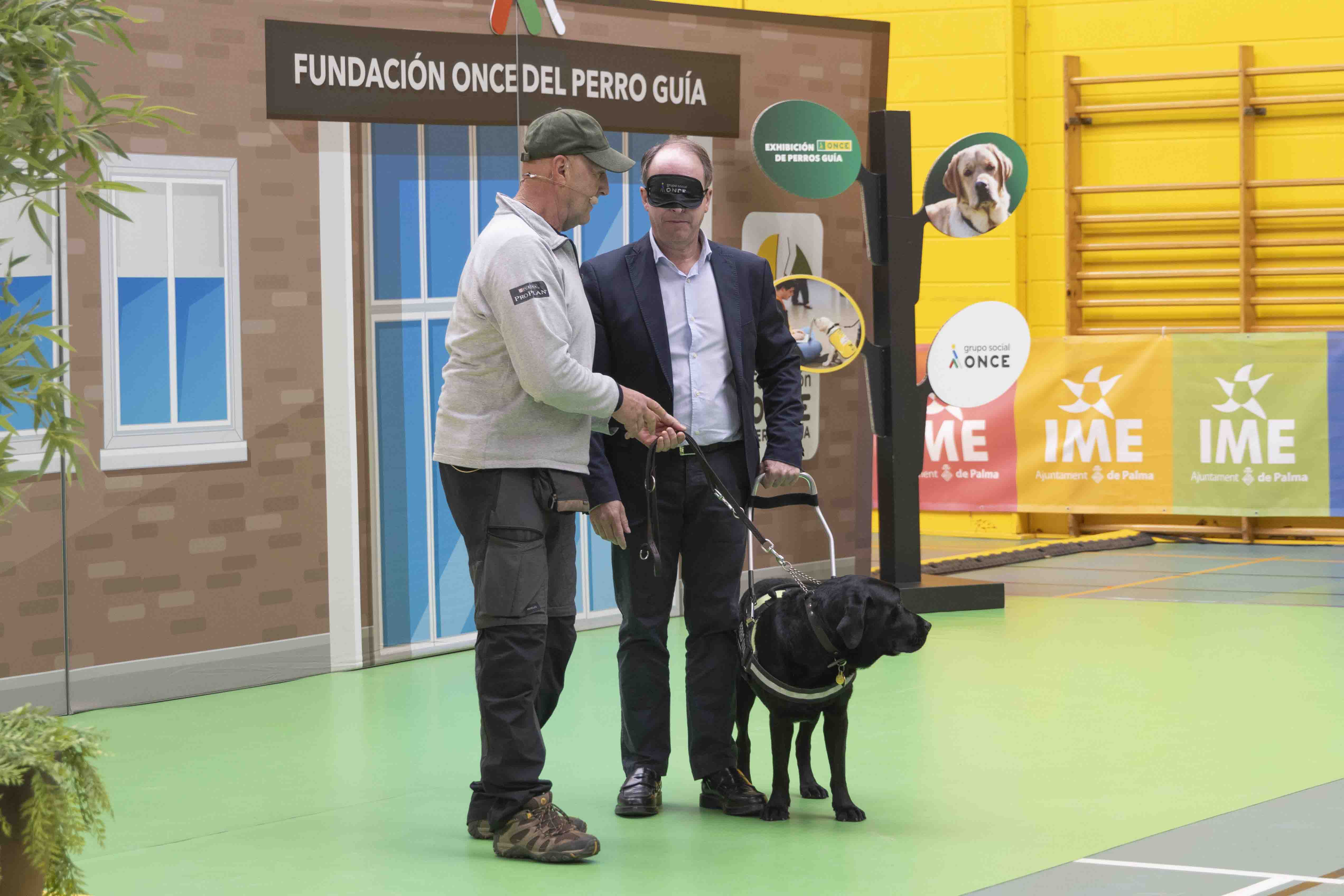 Miguel Busquets es guiado por Viena