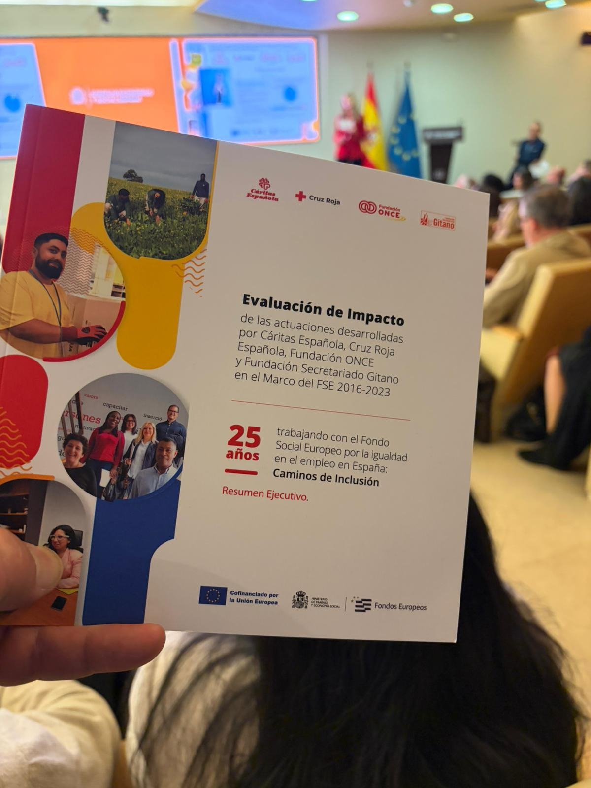 Imagen de la portada del estudio